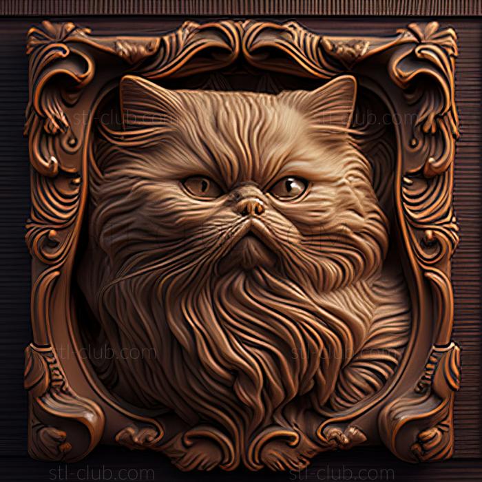 st Traditional Persian cat